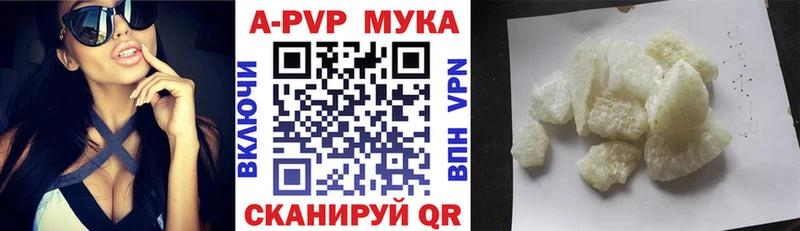 Alfa_PVP СК Шенкурск