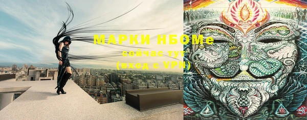 мдпв Верея