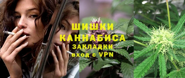 мдпв Верея