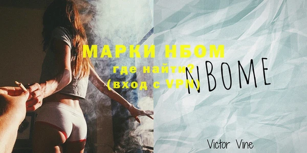 мдпв Верея