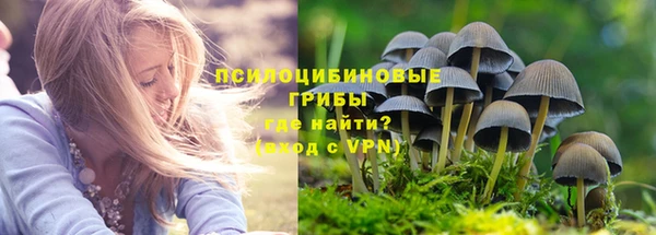 мдпв Верея