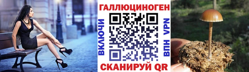 Галлюциногенные грибы Cubensis  продажа наркотиков  Шенкурск 